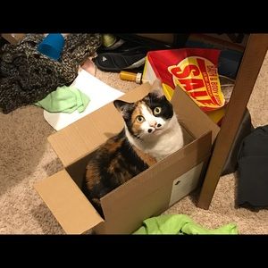 Meet your Posher, Christine